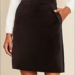 Ann Taylor Velvet A-Line skirt (petite)